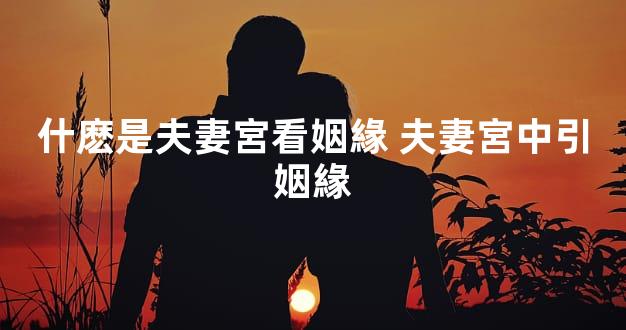 什麽是夫妻宮看姻緣 夫妻宮中引姻緣